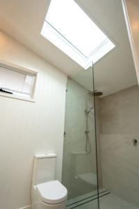 Skylight Over Shower